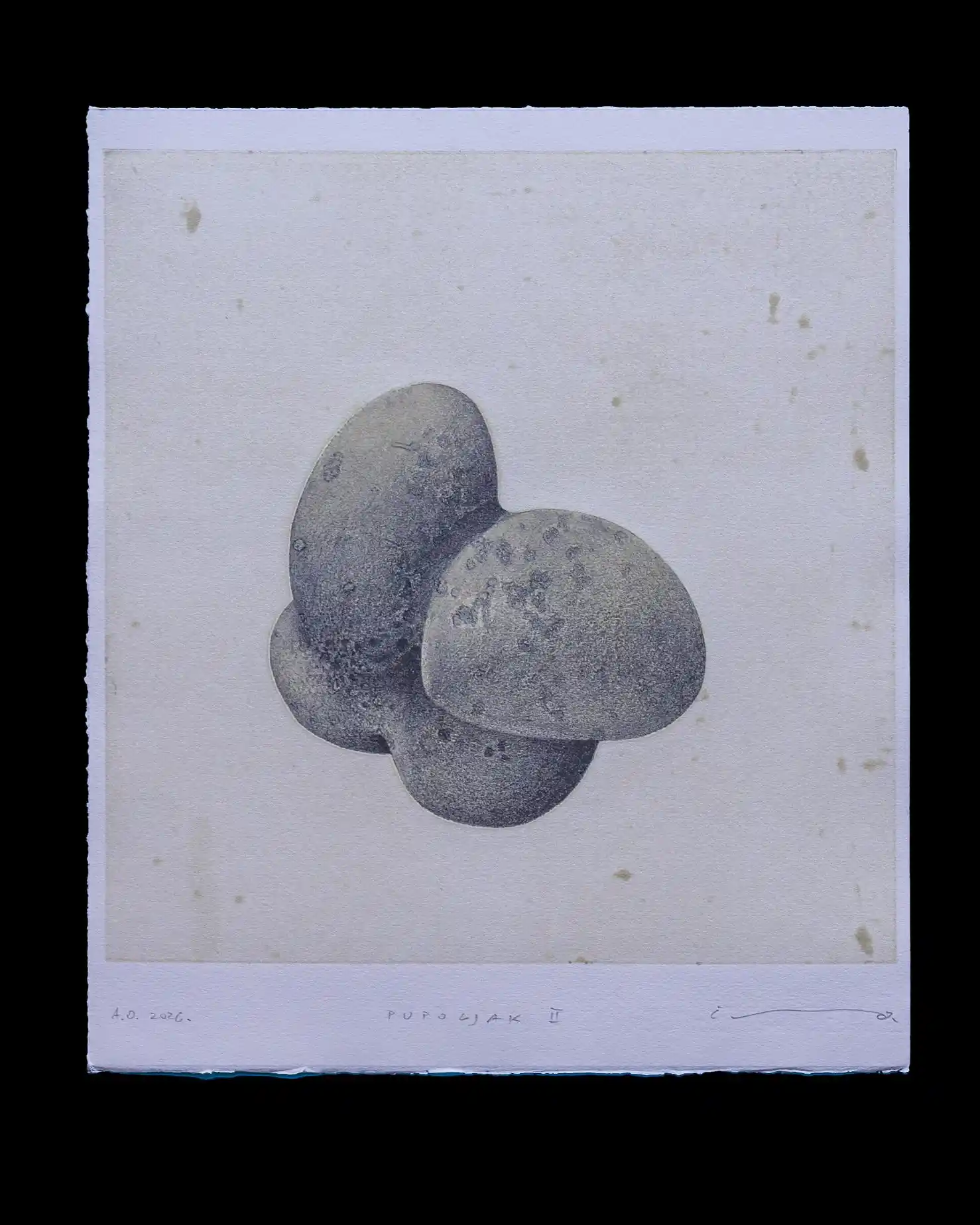 Pupoljak II - Image 3