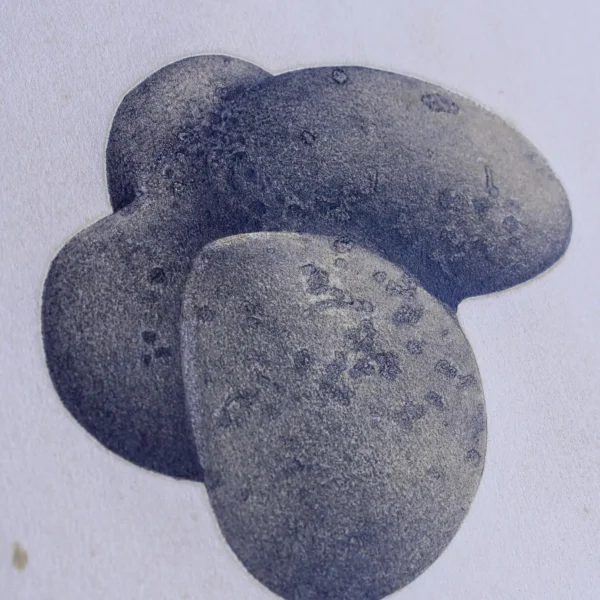 Pupoljak II
